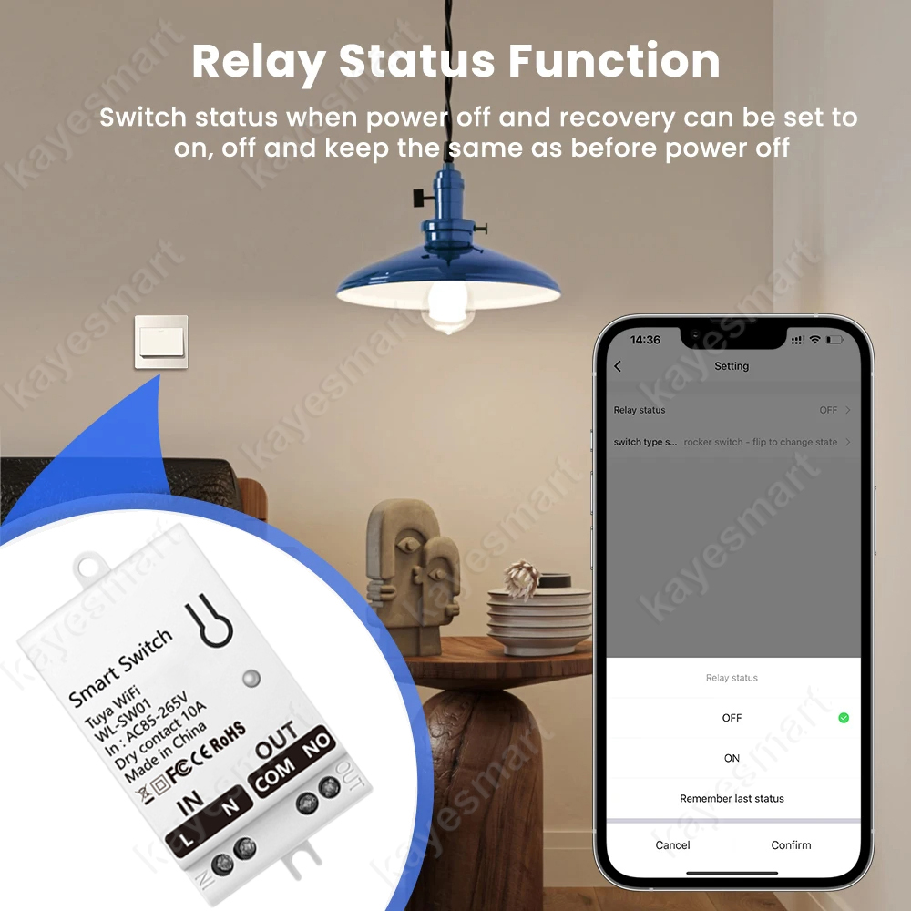 Tuya WiFi Smart Switch Module  - Home Improvement Diy recensione e prezzo